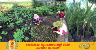 កសិដ្ឋានបណ្ដុះកូនឈើប្រណិតក្នុងខេត្តកំពង់ចាម កំពុងមានទីផ្សារល្អប្រសើរ ខណៈអតិថិជនជាច្រើនទិញសម្រាប់ដាំដុះនៅតាមគេហដ្ឋាន និងតាមចម្ការ