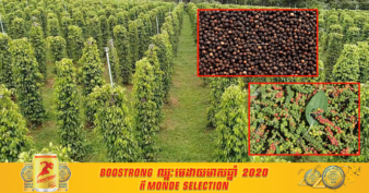 ម្រេចកំពត នៅតែមានតម្លៃខ្ពស់ដូចមុនដដែលទោះបីកម្ពុជាស្ថិតក្នុងវិបិត្តជំងឺកូវីដ-១៩​ ក៏ដោយ