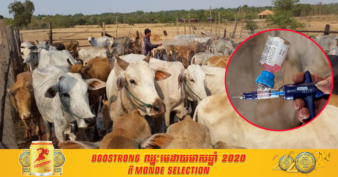 កម្ពុជា-ចិន ត្រៀមសហការគ្នាផលិតវ៉ាក់សំាងការពារជំងឺអុតក្តាម និងសារទឹកនៅកម្ពុជា