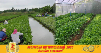 វិស័យកសិកម្មក្នុងខេត្តសៀមរាប មានសន្ទុះកើនឡើងដោយសារកត្តាទាំងនេះ