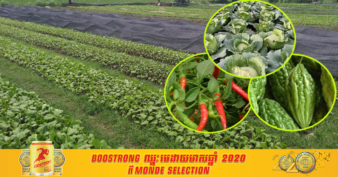 អាជ្ញាធរស្រុកសេសាន បើកឱ្យមានការប្រកួតប្រជែងការផលិតបន្លែមានគុណភាព និងសុវត្ថិភាពដើម្បីទទួលបានរង្វាន់ និងងាយស្រួលលក់នៅលើទីផ្សារ