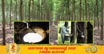 អង្គការ WWF និងអគ្គនាយកដ្ឋានកៅស៊ូសហការគ្នាជួយដល់ឧស្សាហកម្មកៅស៊ូលក្ខណៈគ្រួសារដើម្បីជំរុញផលិតកម្មកៅស៊ូធម្មជាតិ និងលើកកម្ពស់ជីវភាពរបស់កសិករ
