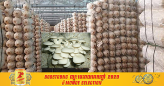 ខណៈកសិករជាច្រើនងាកមកចាប់របរបណ្ដុះផ្សិត កញ្ចប់សម្រាប់បណ្ដុះផ្សិតអំបោះក្នុងកសិដ្ឋានមួយនេះកំពុងមានតម្រូវការខ្ពស់ក្នុងទីផ្សារ