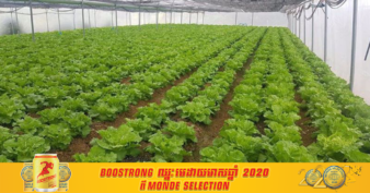 កសិករនៅភ្នំព្រឹក ដាំបន្លែក្នុងរោងសំណាញ់លើផ្ទៃដីត្រឹមតែ ២៥០ ម៉ែត្រការ៉េអាចបានប្រាក់ចំណូល ៨០ ម៉ឺនរៀលក្នុងមួយខែ