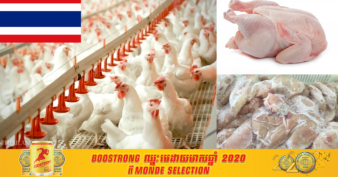 ថៃ ខាតលុយជាង ២០០ លានដុល្លារពីការនាំចេញសាច់មាន់ដោយសារជំងឺកូវីដ-១៩