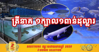 មិនធម្មតា! កសិដ្ឋានចិញ្ចឹមត្រីលម្អមួយនៅកម្ពុជា គ្រោងនាំចេញត្រី ទៅចិនប្រមាណ ៦ពាន់ក្បាលក្នុងមួយឆ្នាំ ហើយក្នុង ១ក្បាលតម្លៃអាចដល់ទៅ ១ពាន់ដុល្លារ
