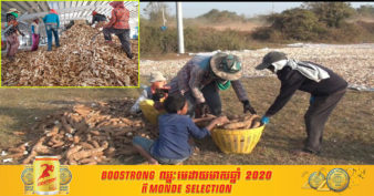 ពលករខ្មែរកំពុងងាករកការងារកសិកម្មធ្វើក្នុងស្រុកដើម្បីចិញ្ចឹមគ្រួសារ ខណៈដែលប្រទេសថៃកំពុងប្រឈមនឹងជំងឺកូវីដ-១៩