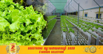 មានទុនហើយមិនដឹងធ្វើអី មកសាករបរមួយនេះ កំពុងទទួលបានការគាំទ្រពីអ្នកបរិភោគ ពិសេសលក់បានតម្លៃខ្ពស់ទៀត