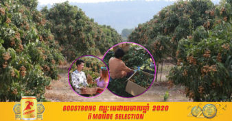 ម្ចាស់ចម្ការ តាង៉ែន នៅជើងភ្នំគូលែនកំពុងប្រែក្លាយចម្ការដំណាំរបស់ខ្លួនឱ្យក្លាយជាកសិ-ទេសចរណ៍