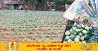 កសិករ​ម្នាក់ប្រើដី ២ពាន់ម៉ែត្រក្រឡាប៉ុណ្ណោះដាំខាត់ណាផ្កា តែប្រមូលផលបានចន្លោះពី ៣ ទៅ ៥ តោនក្នុងមួយរដូវ រកចំណូលបានពី១០លាន ទៅ ១២ លានរៀល