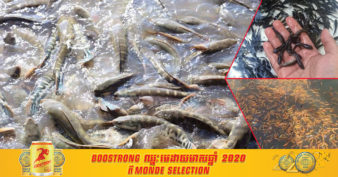 ម្ចាស់កសិកដ្ឋានមួយកន្លែងអាចរកចំណូលបានចន្លោះពី ៤- ៥ពាន់ដុល្លារ ក្នុងមួយខែ ចែករំលែកបទពិសោធន៍ថា បើចង់បានពូជត្រីយកទៅចិញ្ចឹមល្អ កសិករត្រូវចេះបច្ចេកទេសពីរ​នេះ