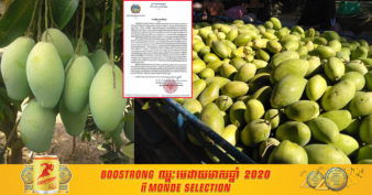 ក្រសួងកសិកម្ម៖ ដោយសារកត្តាទាំងនេះ ធ្វើឲ្យតម្លៃស្វាយកំពុងធ្លាក់ចុះ ដោយតម្លៃស្វាយស្រស់នៅចិនបានធ្លាក់ចុះមកត្រឹមពី ១ដុល្លារ១កាក់ ទៅ១ដុល្លារ២កាក់ ក្នុង១គីឡូក្រាម