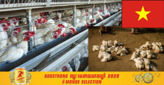 មិនដឹងខាតប៉ុណ្ណាទេ ខណៈវៀតណាមបានសម្លាប់មាន់ជាង ១០០,០០០ ក្បាល ដើម្បីទប់ស្កាត់ការរីករាលដាលនៃជំងឺផ្ដាសាយបក្សីនៅក្នុងប្រទេស