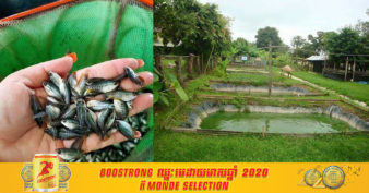 មិនធម្មតា! កសិករក្នុងខេត្តត្បូងឃ្មុំ អាចរកចំណូលបានចន្លោះពី ៤ ទៅ ៥ពាន់ដុល្លារក្នុងមួយខែ ពីរបរចិញ្ចឹមត្រីប្រភេទនេះ