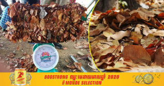 គំនិតល្អមែន! អាជ្ញាធរខេត្តឈៀងម៉ៃ ប្រមូលទិញស្លឹកឈើងាប់ៗ ពីអ្នកស្រុកដើម្បីធ្វើរឿងមួយនេះ