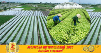 ហូជីមិញរបស់វៀតណាម គ្រោងប្រែក្លាយខ្លួនទៅជាមជ្ឈមណ្ឌលកសិកម្មដែលមានគុណភាពខ្ពស់ទាំងក្នុងប្រទេស និងក្នុងតំបន់