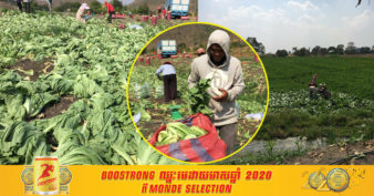 កសិកររីករាយ ហើយញញឹមស្រស់វិញ ខណៈស្ពៃជើងទាមានហាងឆេងឡើងវិញ និងផ្តល់ការងារដល់ពលករដែលត្រឡប់មកពីថៃ