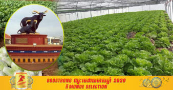 មកស្គាល់ ដំណាំ ៣ ប្រភេទ កំពុងមានទីផ្សារល្អ នៅខេត្តមណ្ឌលគិរី និងមានទីផ្សារនៅភ្នំពេញ