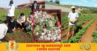 ក្រសួងកសិកម្ម មានផែនការពង្រីកការដាំខ្ទឹមសឲ្យបានច្រើន ដើម្បីឈានទៅកាត់បន្ថយការនាំចូលដ៏ច្រើនសន្ធឹកសន្ធាប់ក្នុងមួយឆ្នាំៗពីប្រទេសជិតខាងនាពេលអនាគត