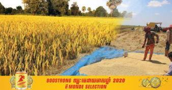 គិតត្រឹមខែមីនា ការងារបង្កបង្កើនផលស្រូវរដូវប្រាំង ឆ្នាំ២០២១ សម្រេចបានជាង ៦៤ម៉ឺនហិកតា