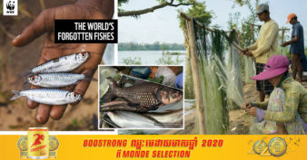 អង្គការ WWF ព្រមានថា ត្រីទឹកសាបរាប់ពាន់ប្រភេទកំពុង តែឈានទៅរកការវិនាសផុតពូជ