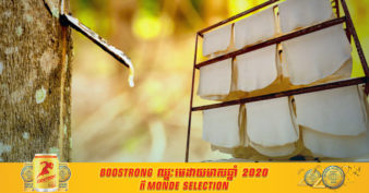 ក្រុមហ៊ុនផលិតកៅស៊ូថៃ៖ «តម្រូវការកៅស៊ូនៅលើពិភពលោក នឹងស្ទុះឡើងវិញខ្លាំងនៅក្នុងឆ្នាំនេះ »