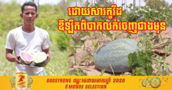 កសិករដាំឪឡឹកនៅស្រុកបន្ទាយស្រីលើកឡើងថា ព្រឹត្តិការណ៍២០កុម្ភៈបានធ្វើឱ្យប៉ះពាល់ដល់ទីផ្សារនៃការលក់ឪឡឹក