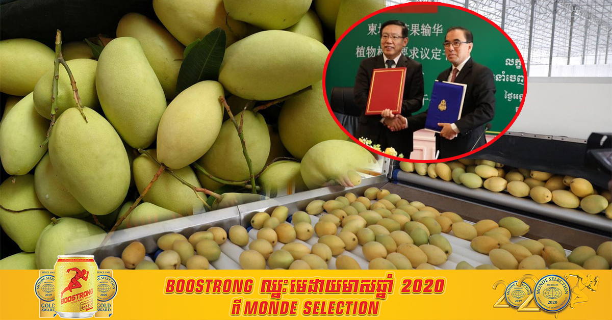 ទីបំផុត! ចិន បានអនុញ្ញាតជាផ្លូវការ