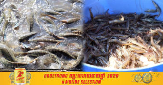 ត្រីមាសដំបូងនៃឆ្នាំ២០២១ កម្ពុជា បាននាំចេញផលិតផលជលផលស្រស់ចំនួន ៩៧៨ តោន ខណៈប្រទេសពីរនេះ ជាទីផ្សារសំខាន់សម្រាប់ផលិតផលជលផល