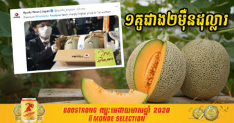 មិនធម្មតា! ផ្លែត្រសក់ស្រូវមួយគូ នៅប្រទេសជប៉ុន មានតម្លៃជាង ២ម៉ឺនដុល្លារ ក្នុងការដេញថ្លៃលើកដំបូងនៅឆ្នាំនេះ