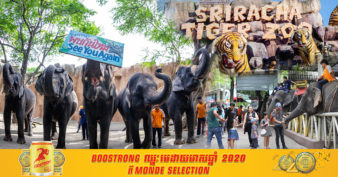 វិបត្តិកូវីដ បង្ខំឱ្យសួនសត្វមួយកន្លែងក្នុងប្រទេសថៃ ប្រកាសលក់ដំរី ១១ក្បាល ដើម្បីដោះស្រាយការខាតបង់