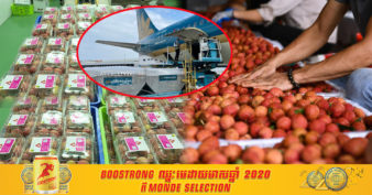 ផ្លែគូលែនវៀតណាមជិត ១០តោន ត្រូវបានហោះទៅកាន់ទីផ្សារជប៉ុនជាលើកដំបូង ដែលជាទីផ្សារយក្សថ្មីសម្រាប់ដំណាំរបស់វៀតណាម