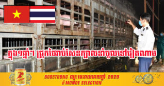 វៀតណាម ផ្អាកការនាំចូលជ្រូករស់រាប់រយក្បាលពី​ប្រទេសថៃ ដោយសារតែរឿងមួយនេះ