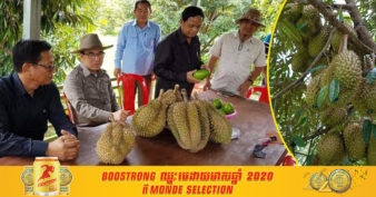 កម្ពុជាទទួលបានបរិមាណផលទុរេនជាង ៣ម៉ឺនតោនក្នុង ១ឆ្នាំ ខណៈក្រសួងកសិកម្មកំពុងត្រៀមរៀបចំដាក់ចេញគោលនយោបាយពង្រីកទីផ្សារទាំងក្នុង និងក្រៅប្រទេស