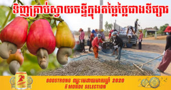 ដំណឹងល្អសម្រាប់អ្នកដាំស្វាយចន្ទី! USAID បង្កើតកិច្ចព្រមព្រៀងទិញគ្រាប់ស្វាយចន្ទី សហករណ៍កសិកម្ម និងសហគ្រាសឯកជន ក្នុងតម្លៃថ្លៃជាងទីផ្សារ