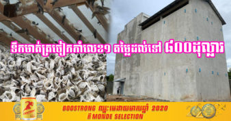 ប្រជាពលរដ្ឋកម្ពុជា ចាប់ផ្តើមចាប់យករបរចិញ្ចឹមសត្វត្រចៀកកាំ ខណៈរបរនេះមានទីផ្សារខ្ពស់ហើយងាយស្រួលចិញ្ចឹម