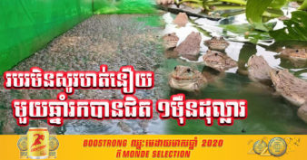 កសិករចិញ្ចឹមកង្កែបនៅខេត្តសៀមរាប នៅតែអាចដំណើរការមុខរបររបស់ខ្លួនបានល្អ ទោះបីស្ថិតវិបត្តិកូវីដ-១៩ក៏ដោយ