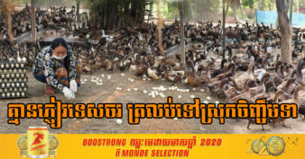 ដោយសាតែកូវីដ-១៩ ជំរុញឱ្យអ្នកប្រកបរបរក្នុងវិស័យទេសចរណ៍ងាកមកចិញ្ចឹមទាយកពងលក់វិញ គ្រាន់បានប្រាក់ផ្គត់ផ្គង់ក្នុងជីវភាពគ្រួសារ