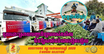 ខេត្តបាត់ដំបង ត្រៀមនាំចេញផ្លែស្វាយទៅកាន់ប្រទេសចិន បន្ទាប់ពីនាំទៅថៃជោគជ័យ