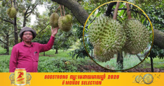 កសិករដាំទុរេននៅខេត្តត្បូងឃ្មុំឆ្នាំនេះ ទទួលបានផលច្រើនជាងឆ្នាំមុន ចំណែកឯទីផ្សារវិញក៏នៅតែល្អ ទោះស្ថិតក្នុងវិបត្តិកូវីដ-១៩