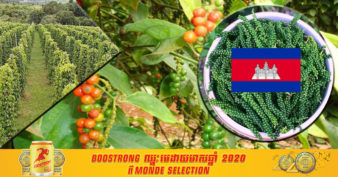 ៥ខែដើមឆ្នាំនេះ ការនាំចេញម្រេចរបស់កម្ពុជាទៅកាន់ប្រទេសវៀតណាម មានសន្ទុះកើនឡើងជាង ៤ពាន់តោន