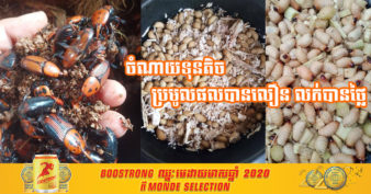 របរកំពុងត្រូវប៉ាន់! ទីផ្សារដង្កូវដួងនៅខេត្តសៀមរាបកំពុងទទួលបានការគាំទ្រខ្លាំងពីអតិថិជន ១គីឡូតម្លៃដល់ទៅ ៧ម៉ឺនរៀល