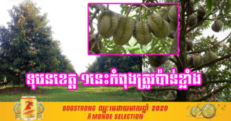 ខេត្តត្បូងឃ្មុំ ពង្រីកផ្ទៃដីដំាដំទុរេនកើនដល់ ៤៦០ហិកតា ដោយសារតែមានតម្រូវការទីផ្សារខ្ពស់