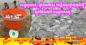 មកស្គាល់ខេត្តមួយ កំពុងផ្គត់ផ្គង់ត្រីសាច់ចូលក្នុងទីផ្សារកម្ពុជាពី ២០ ទៅ ៣០តោន ក្នុងមួយថ្ងៃ បើទោះបីការធ្វើវារីវប្បកម្មនៅកម្ពុជា ជួបប្រទះនឹងបញ្ហាប្រឈមមួយចំនួន