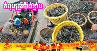 ប្រជាសហគមន៍នេសាទខេត្តកោះកុង ផុសផុលនាំគ្នាចិញ្ចឹមខ្យងចំពុះទា ព្រោះមានតម្រូវការទីផ្សារខ្លាំង អាចលក់បានក្នុងមួយគីឡូក្រាមតម្លៃ…