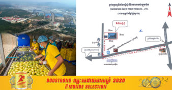 ល្អណាស់! រោងចក្រកែច្នៃផ្លែស្វាយតម្លៃជាង ៦លានដុល្លារ នឹងសាងសង់លើទឹកដីនៃខេត្តមួយនេះ