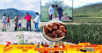 ឯកឧត្តម ម៉ុង ឫទ្ធី សម្រេចដាំល្មេីបន្ថែមទៀតឱ្យបានគ្រប់ ៤០ហិកតា ព្រោះចង់កាត់បន្ថយការនាំចូលពីបរទេស ជួយពលរដ្ឋ និងលើកមុខមាត់ជាតិ