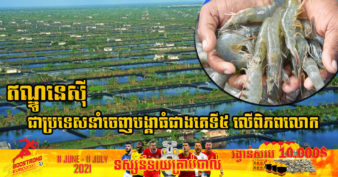 មហិច្ឆតាធំមែន! ឥណ្ឌូនេស៊ីរំពឹងថា នឹងក្លាយជាអ្នកដើរតួយ៉ាងសំខាន់នៅក្នុងទីផ្សារបង្គាសកល