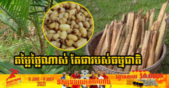 ដួងសោម ត្រូវបានអ្នកខេត្តព្រះវិហារហៅថា អាហារស្ដេច ខណៈបច្ចុប្បន្នមានតម្លៃពី ១២០០០-២០០០០ រៀលក្នុងមួយគ្រាប់