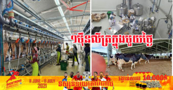មិនធម្មតា! កសិដ្ឋានចិញ្ចឹមគោយកទឹកដោះនៅខេត្តតាកែវ មានសមត្ថភាពអាចផលិតទឹកដោះគោស្រស់១ម៉ឺនលីត្រក្នុងមួយថ្ងៃ